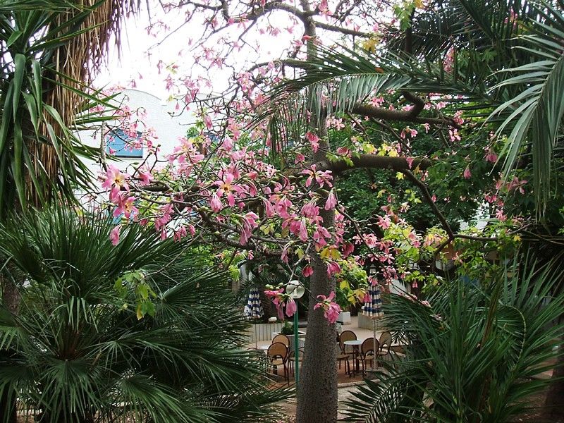 Hotel Azzolini Villagrazia Di Carini Luaran gambar